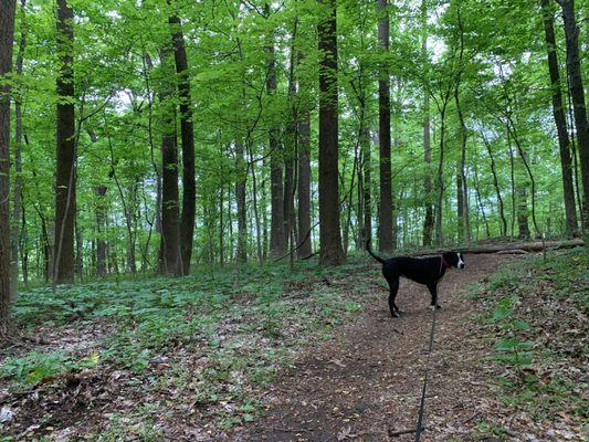 Schuylkill Canal Park - Lock 60