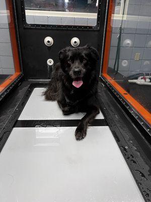 Ready for water treadmill!