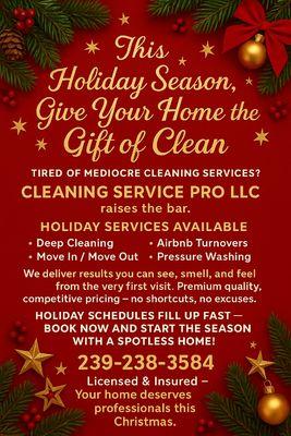 Cleaning Service Pro