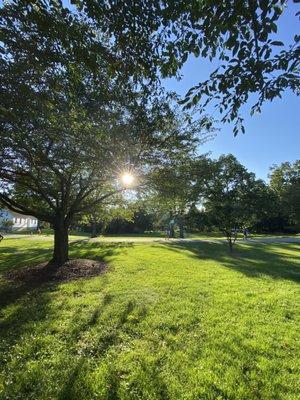 Roberts Garden
