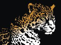 Willis Jepson Middle School