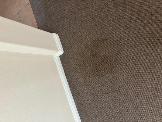 Stained carpet