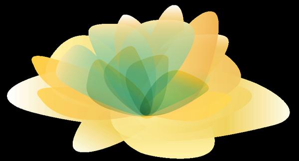 Women's Health Foundation