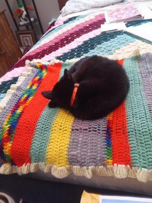 Adventist Book Center