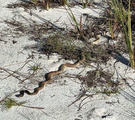 Catfish Creek Preserve State Park