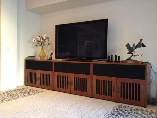 TIIGA Home Entertainment