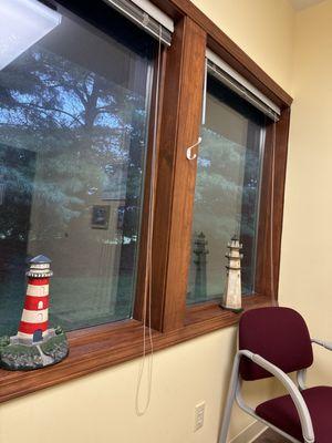 Michael Salcedo, DPM, FACFAS