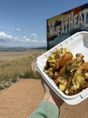 Nanas Kitchen Brunch at Wheat Head Brewing Co. always friendly and home style cookin!