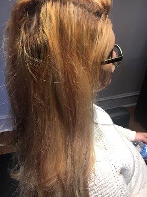 Before my color correction. Damage and terrible color from another salon.