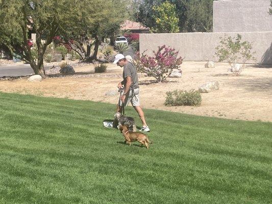 Oscar, my helper dog, assists me in teaching Vance to heal!