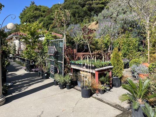 Green Jeans Garden Supply