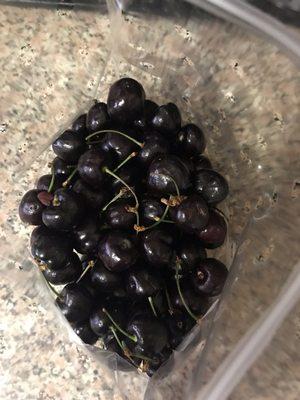 Collins Family Orchards