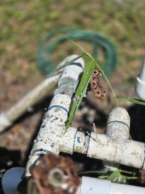 CSI Florida Landscaping