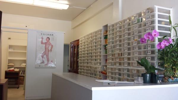 Zhu Boyan Accupuncture