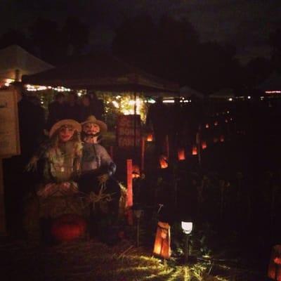 Soil Born Farm Urban Agriculture Project