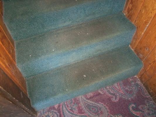 This carpet is the first thing you see upon entering the hotel and a sign of things to come