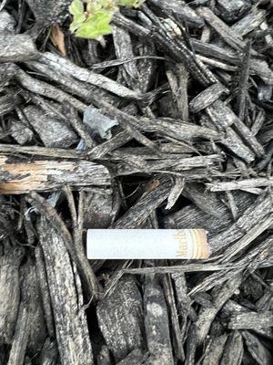 One of many cigarette butts left all over my property by the installers.