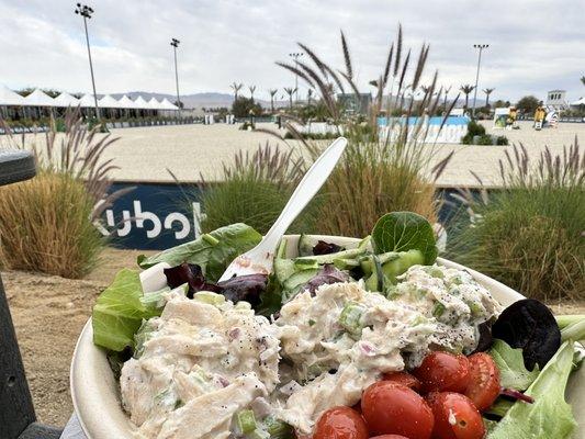 Desert International Horse Park