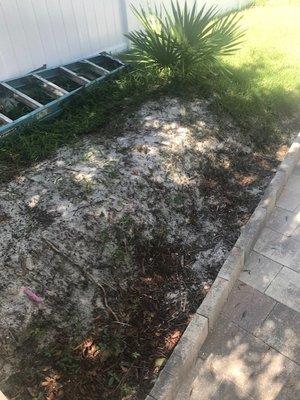 Dreamscape Synthetic Grass & Pavers