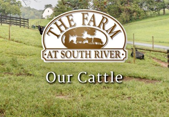 The Farm At South River