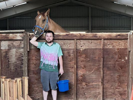 Kj Performance Horses