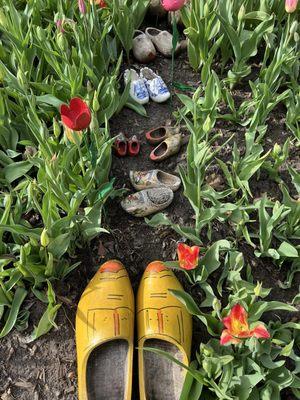 Minneapolis Tulip House