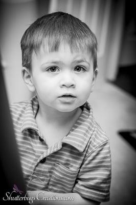 Shutterbug's Creations