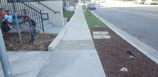 Centinela Apartments