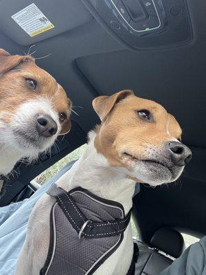 East Bay School of Golf