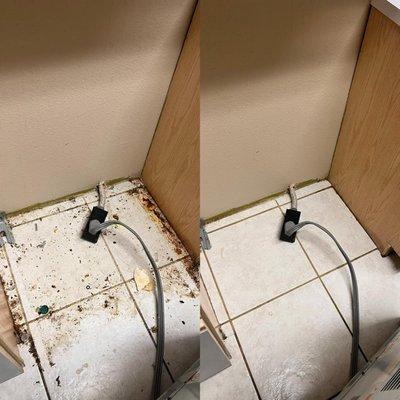 MAS DC Services & Solutions