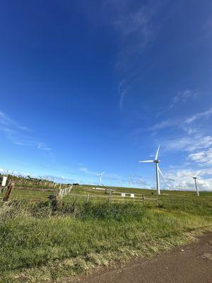 Kona International at Keahole Airport (KOA)