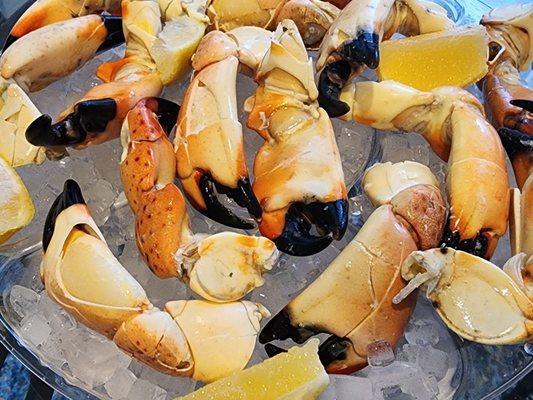 Stone Crab Wholesale
