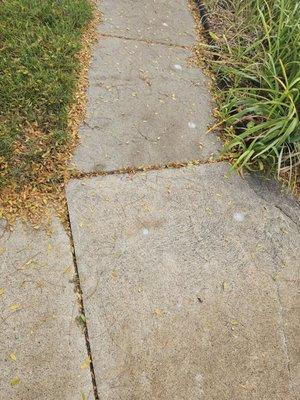 Detroit Concrete Leveling