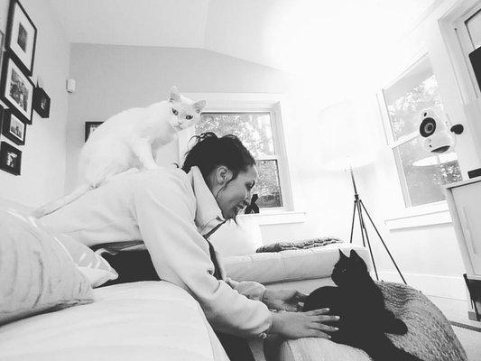 Paws & Relax Atlanta