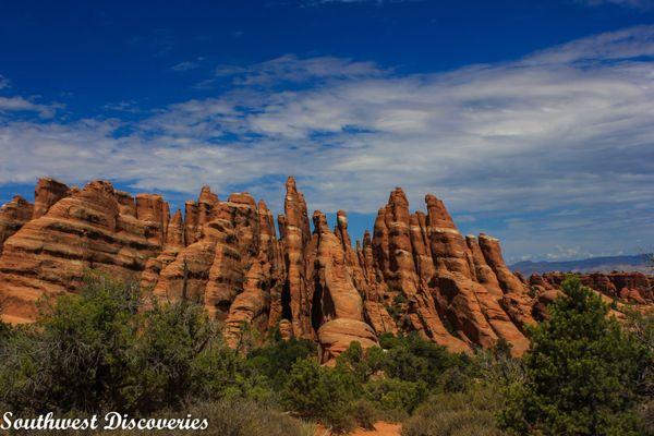 Southwest Discoveries