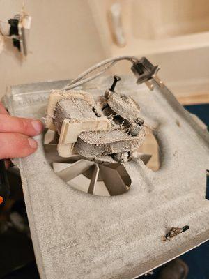 Lawrence Electric Diversified Services