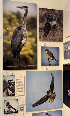 The Ocean Blue Vault