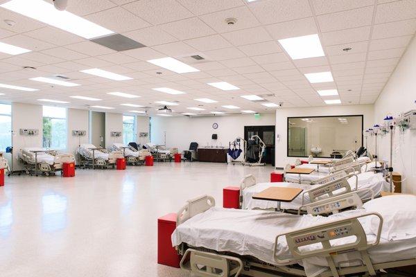 University of St. Augustine