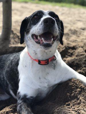 Cedar Creek Park Dog Run