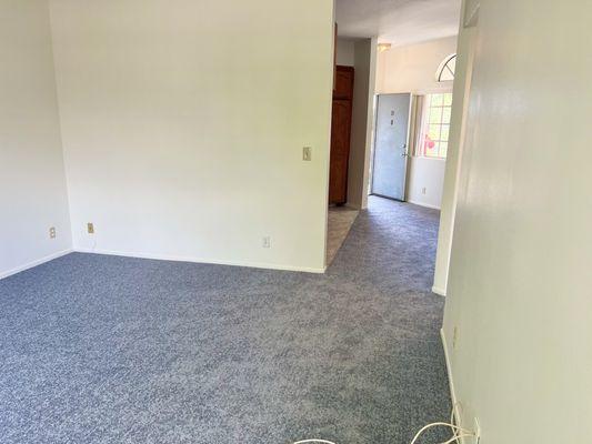 Plush new carpeting in my 1bd rental