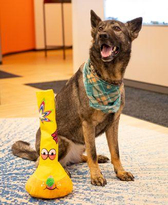 Calyx Berkshire Dispensary