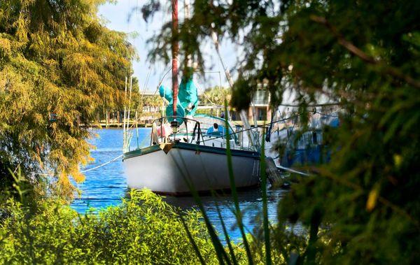 Sawmill Docks Marina