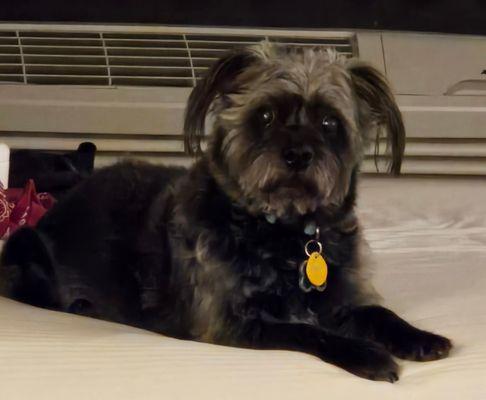 Buxton Veterinary Hospital