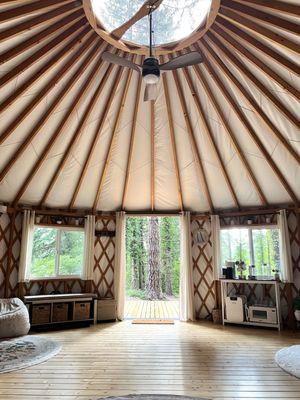 Harbor Family Therapy