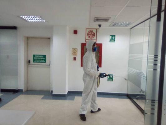 Multiservices Viclin 2000 USA