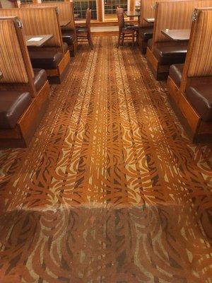 Superior tile and carpet care