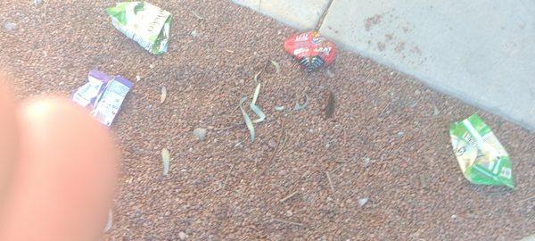 Southern Nevada Regional Housing Authority