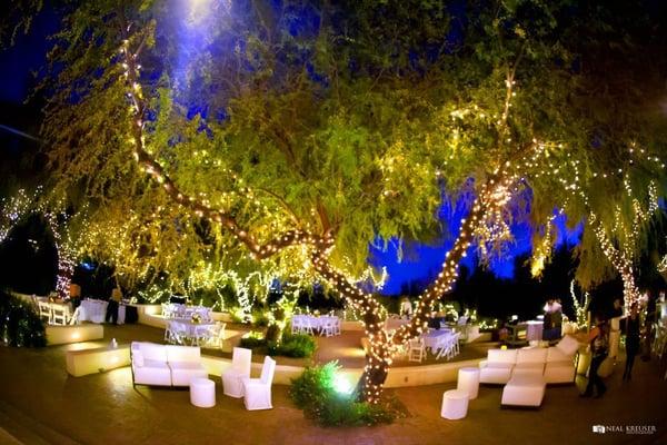 Veronica Saiz Events