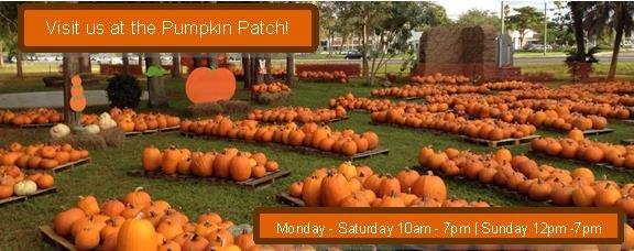 Visit our Pumpkin Patch!