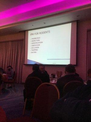 Alternative Resolution For Pest Control